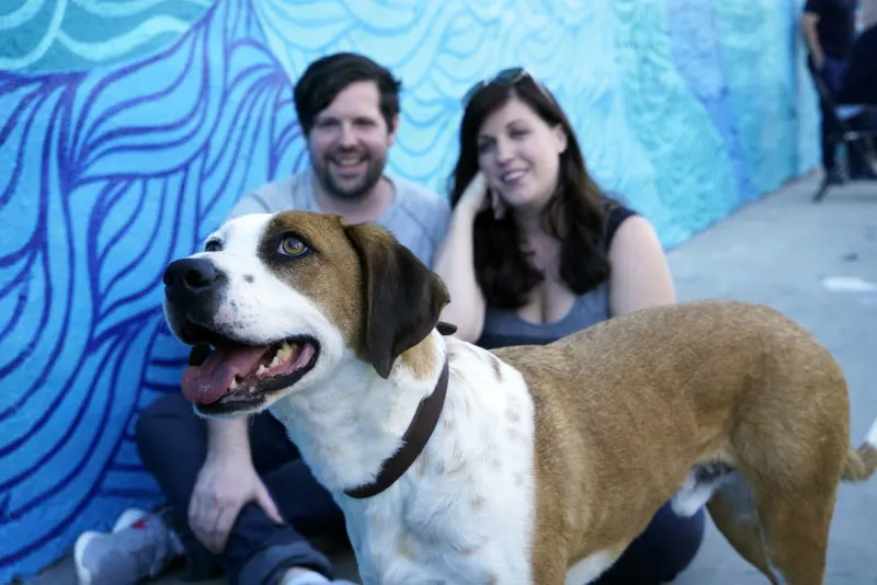 Downward Dog Show Cast interview – Talking to Samm Hodges, voice of Martin the dog