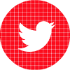 twitter red check circle social media icon