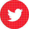 twitter red check circle social media icon
