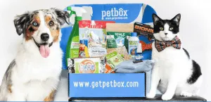 Pet Box