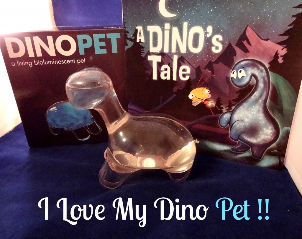 Dino Pet GG