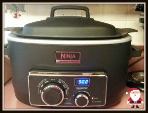Ninja Cooking System GG