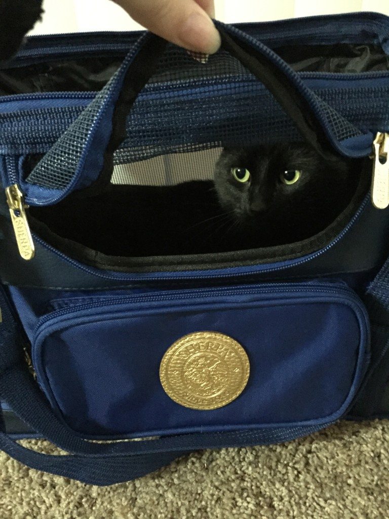 Metro Cat Tote 1