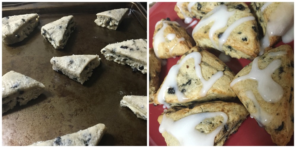 Blueberry Scones from Barista Bakery Company