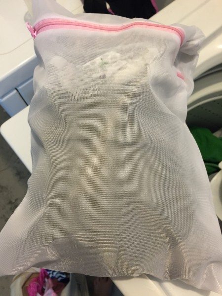 WashGuard Lingerie Bag