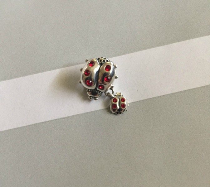 Ladybug Charm