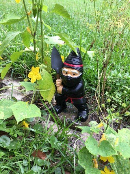 PRetties Gardening Series Ninja Gnome from Big Mouth Inc
