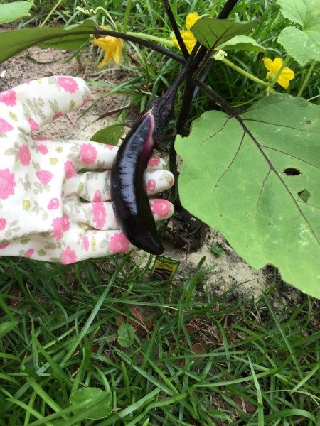 Pretties Gardening Series Gardening Gloves.