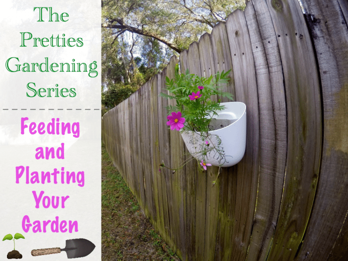 The Pretties Gardening Series Feeding and Planting Your Garden
