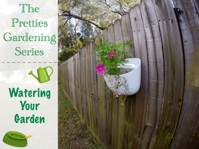 The Pretties Gardening Series Watering Your Garden Featured Image