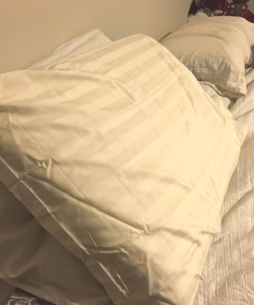 1000 Thread Count Pillows - Egyptian Cotton