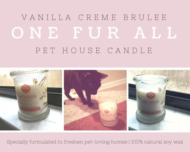 One fur all