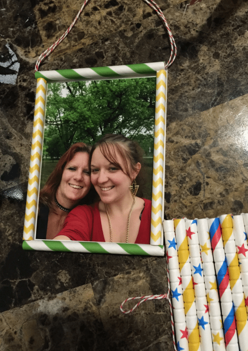 Aardvark Straws Picture Frame