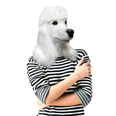 BMMA-WP-Poodle-Mask400