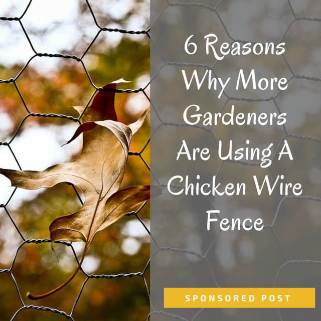 6 Reasons Why More Gardeners Are Using A Chicken Wire Fence