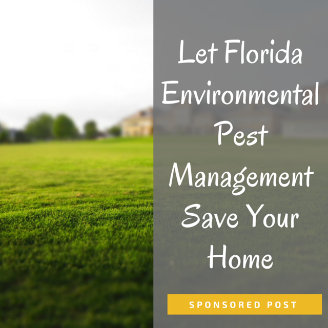 Let Florida Environmental Pest Management Save Your Home