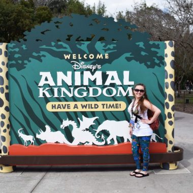 Animal Kingdom Review