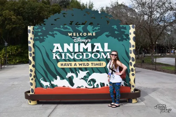 Animal Kingdom Review