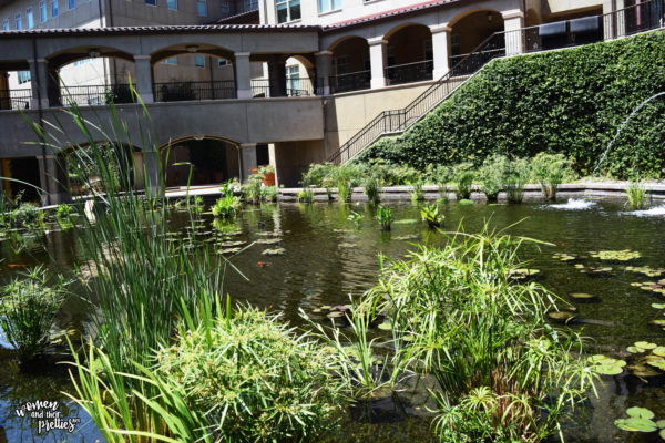 Lagoon at DreamWorks