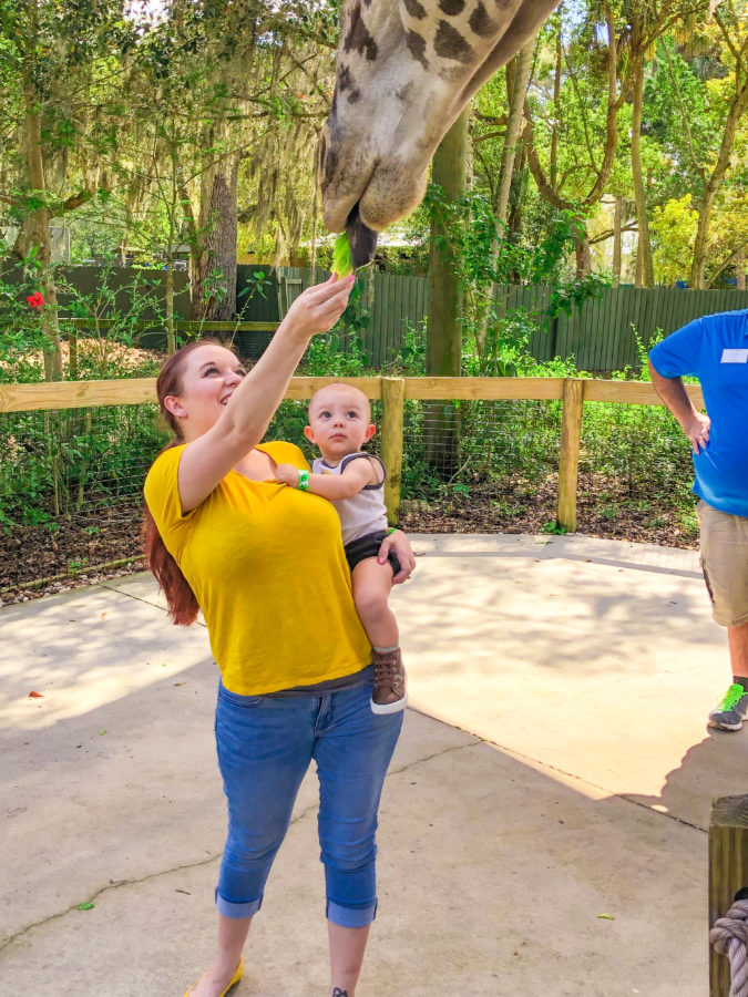 Central Florida Zoo Birthday Party Review_9969