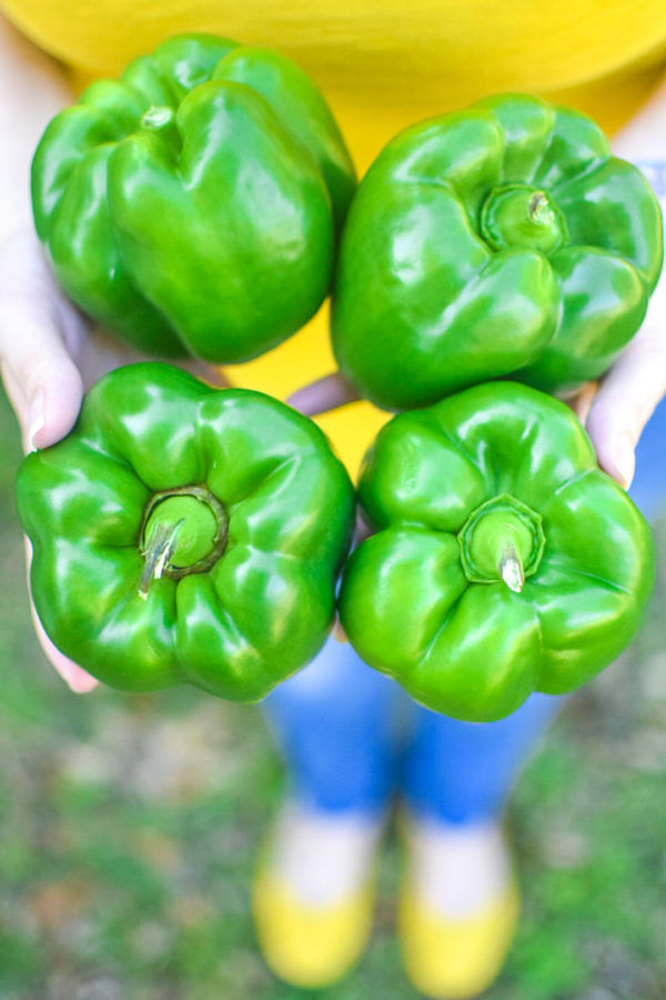 keto stuffed peppers