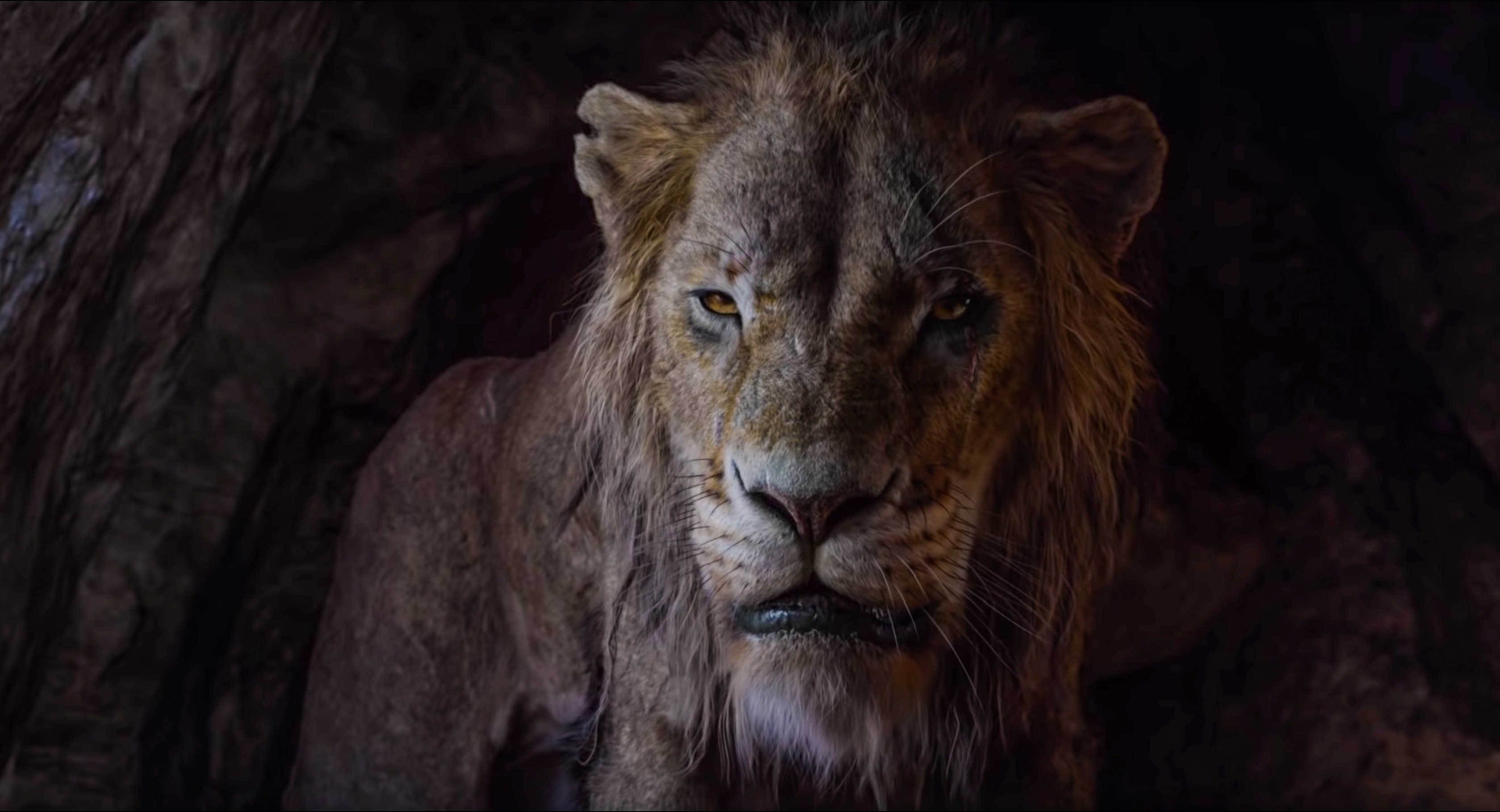 Get a First-Look at The Lion King Live Action Main Characters! - But ...