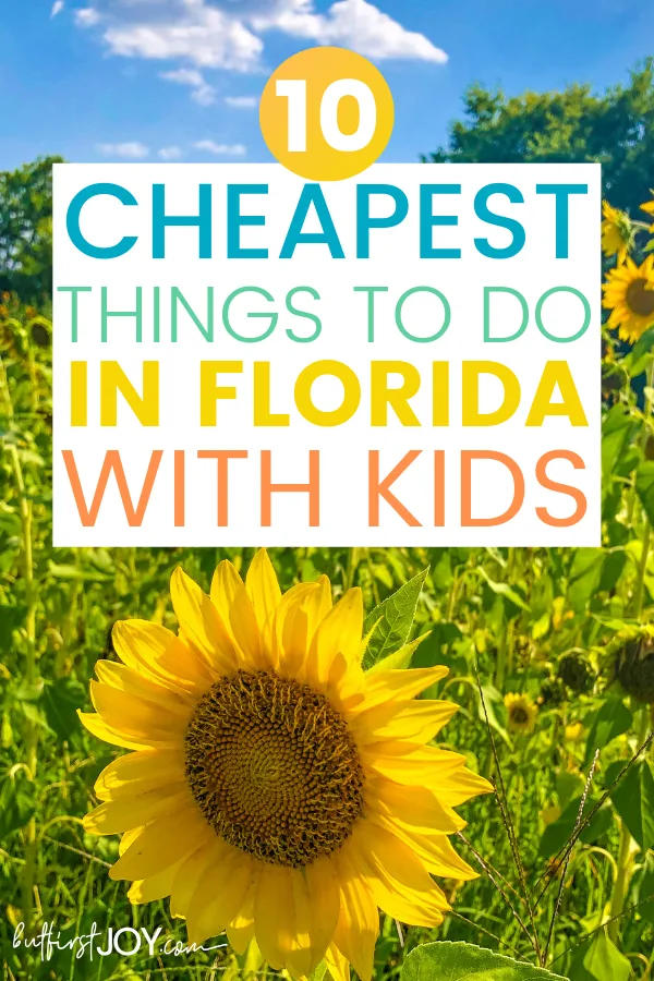 best cheap things to do in florida with kids