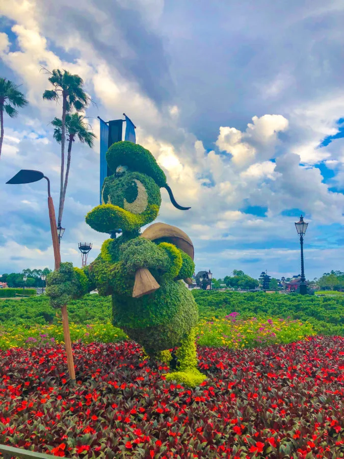 Donald Duck Topiary at Things to do 2019 Epcot Flower & Garden Festival