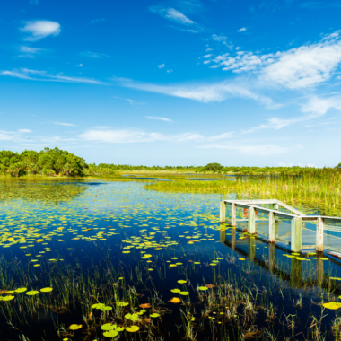 Whether you're planning a Florida vacation or a quick getaways, these are the best weekend trips in Florida for those who are budget-conscious.