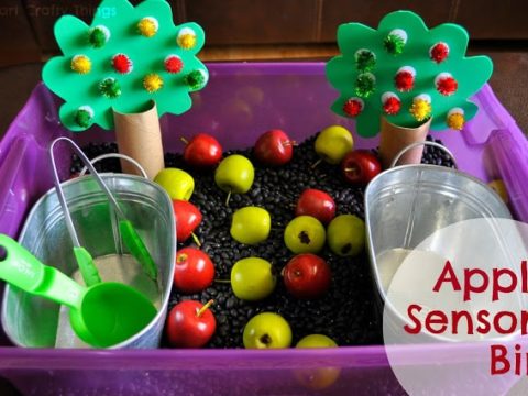Image for Apple Orchard Sensory Bin