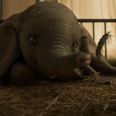 These are the most inspirational live-action Dumbo Quotes from the 2019 movie. These quotes are relatable, emotional, and profound!