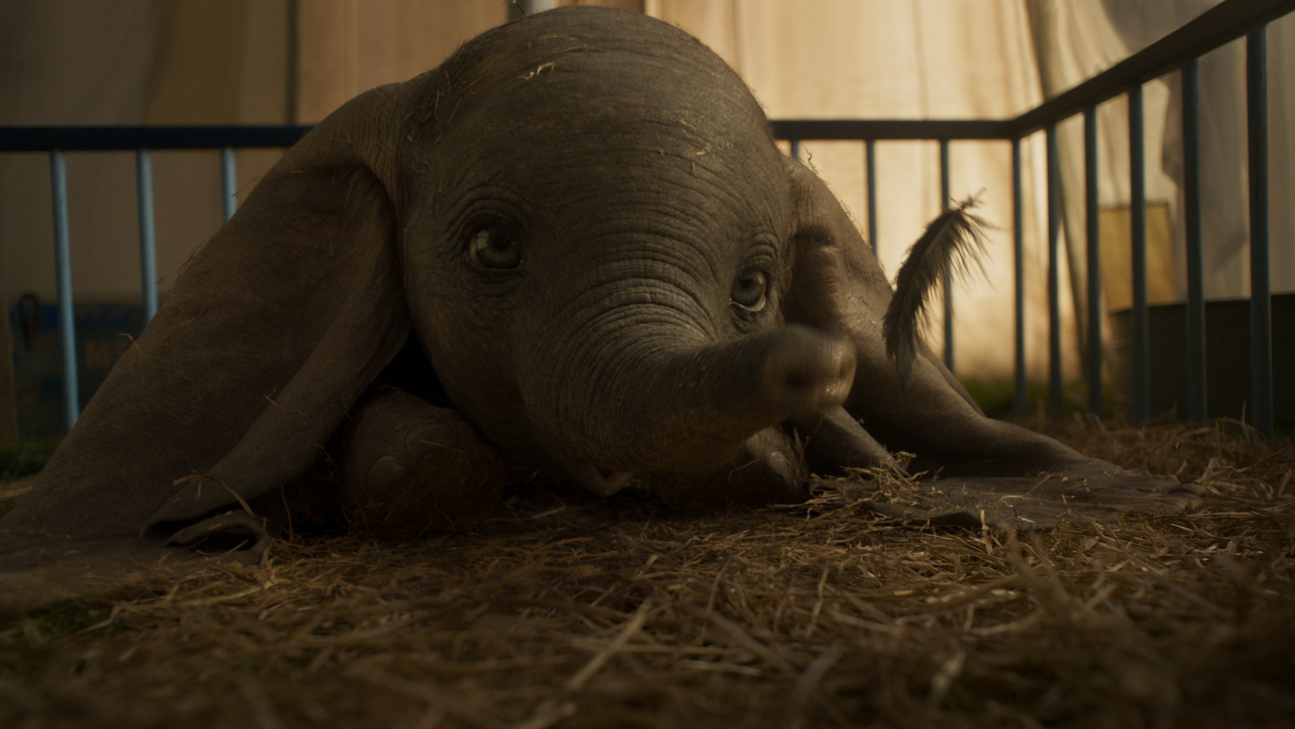 These are the most inspirational live-action Dumbo Quotes from the 2019 movie. These quotes are relatable, emotional, and profound!