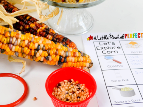 Image for Corn and Popcorn Fall Science & Sensory Play for Kids