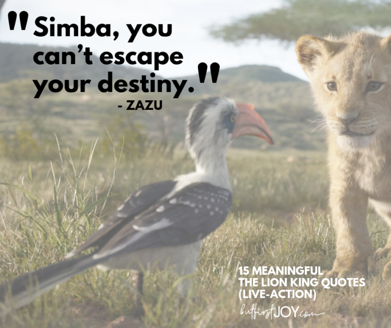 These live-action Lion King Quotes from the 2019 movie will make you feel all of the same feelings you felt when watching the original.