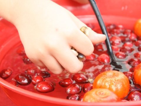 Image for Thanksgiving Sensory Soup