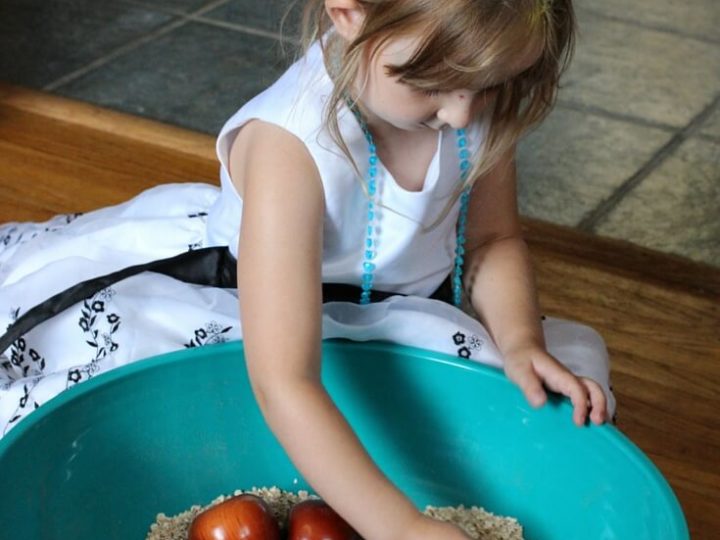 Image for Apple Pie Sensory Bin