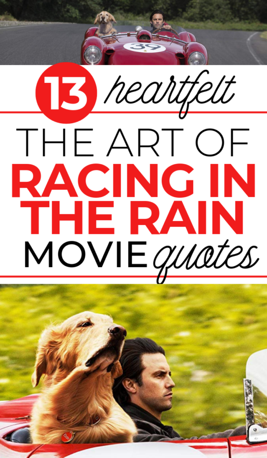 These heartfelt The Art of Racing in the Rain movie quotes will have you feeling all of the things! You'll want to see this book to film adaption right away!