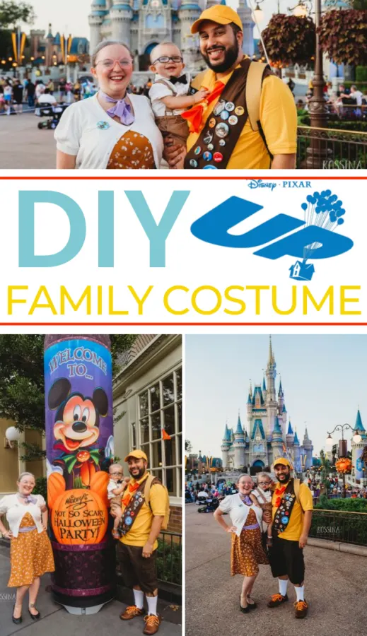 Disney up Group costume Idea