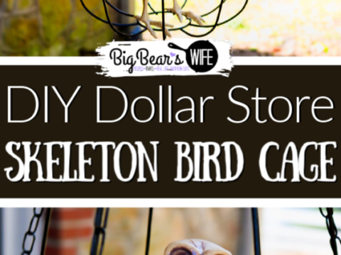Image for DIY Dollar Store Halloween Skeleton Bird Cage