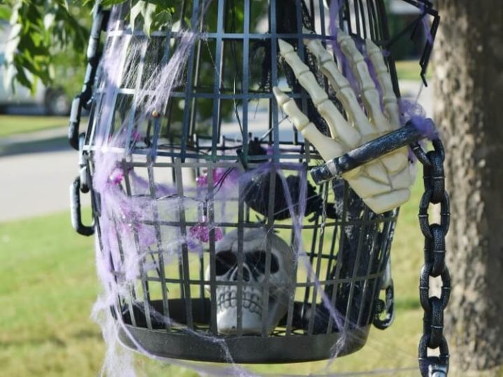 Image for DIY Dollar Store Halloween Bird Cage