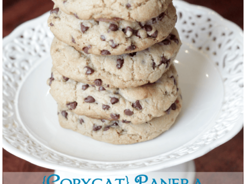 Image for 19. {Copycat} Panera Chewy Chocolate Chip Cookies &bull; The Pinning Mama