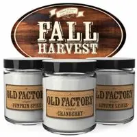 Scented Candles - Fall Harvest - Set of 3: Pumpkin Spice, Cranberry, and Autumn Leaves - 3 x 4-Ounce Soy Candles - Each Votive Candle is Handmade in the USA with only the Best Fragrance Oils