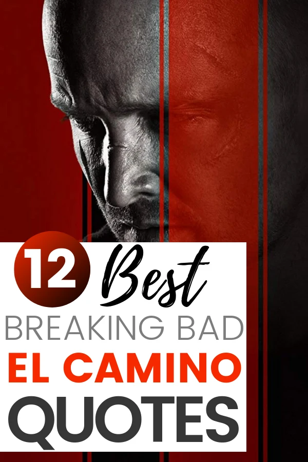 If you're eager to hear more about the Breaking Bad movie – then you'll love this fan review and best El Camino Movie Quotes.