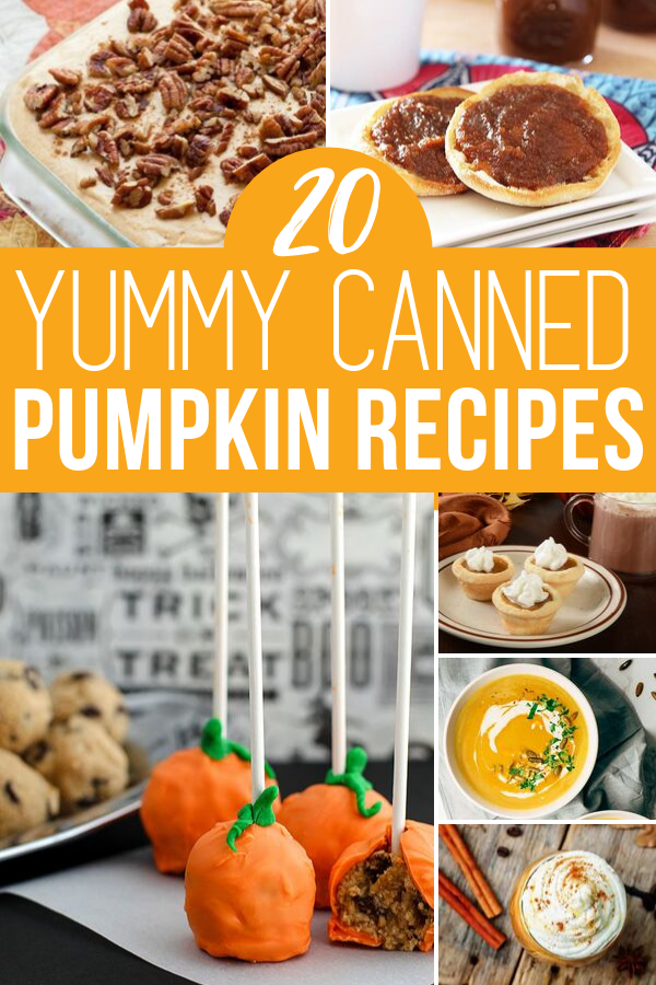 Best Canned Pumpkin Recipes