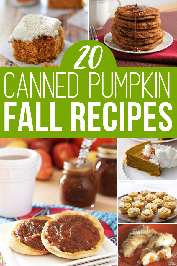 20 Canned Pumpkin Recipes for Fall - But First, Joy