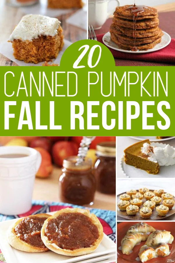 Best Canned Pumpkin Recipes
