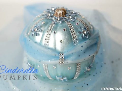 Image for DIY Disney Cinderella Pumpkin