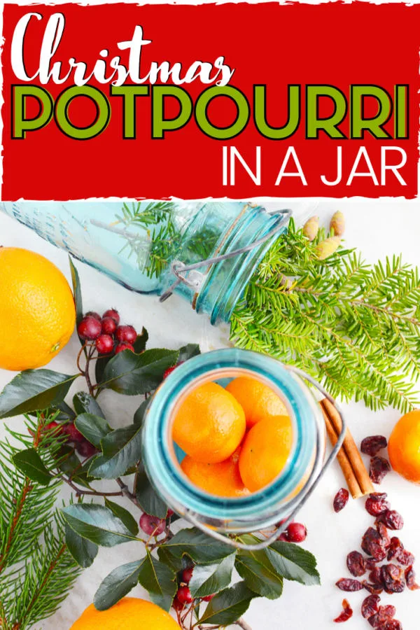 Christmas Potpourri in a Jar is basically handing the scent of Christmas to someone you love. It's the perfect budget-friendly DIY jar gift that anyone would appreciate.