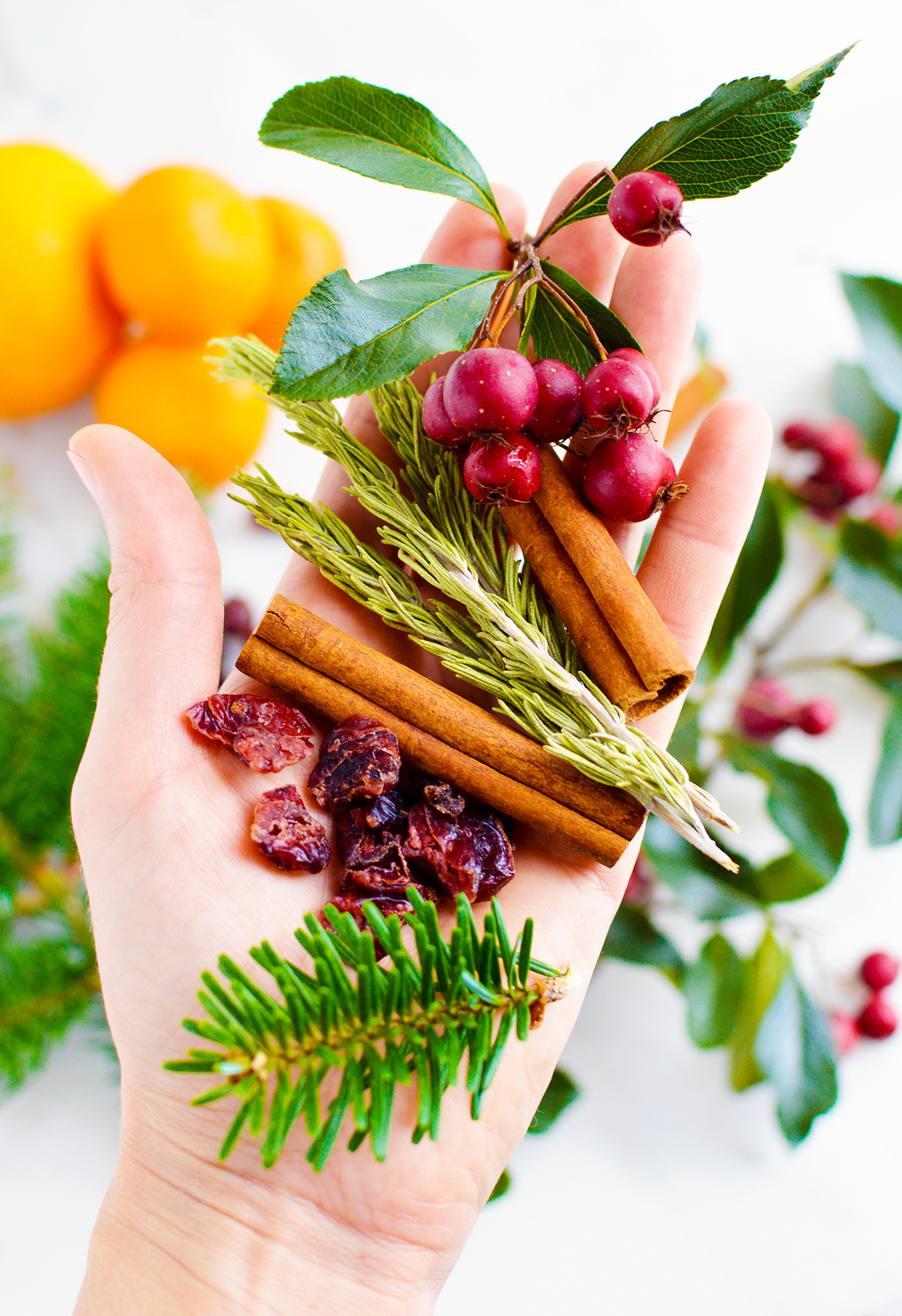 DIY Christmas Potpourri In A Jar Easy Gift Idea But First Joy   Simmering Christmas Jar Gift Potpourri   Shared3 