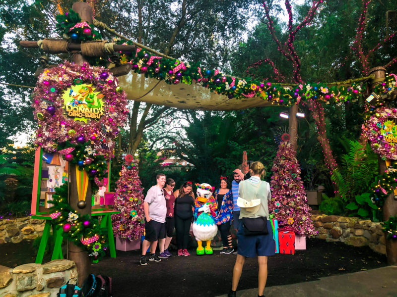 Christmas Characters Animal Kingdom